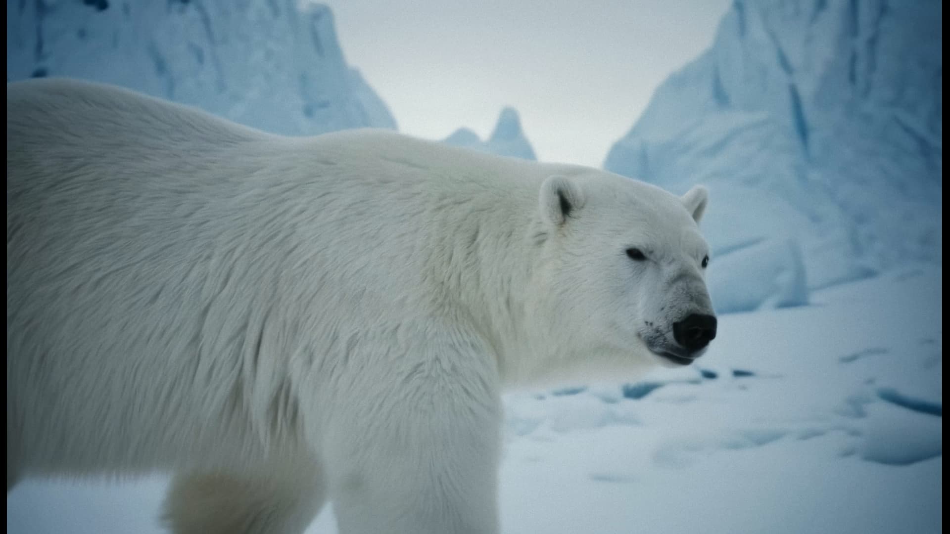 Reign Storm - Image 3